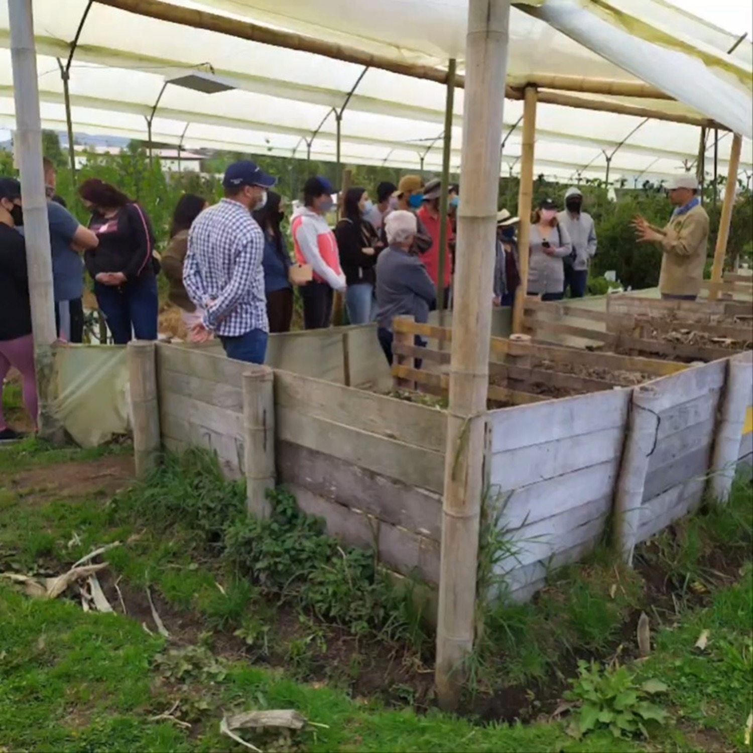 Innovación social inclusiva