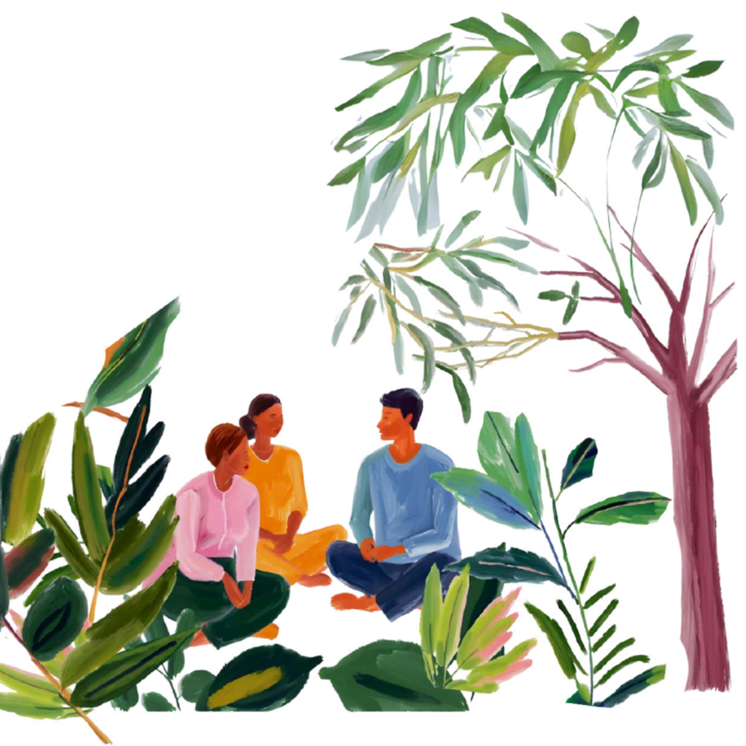 Educación y paz en museos II