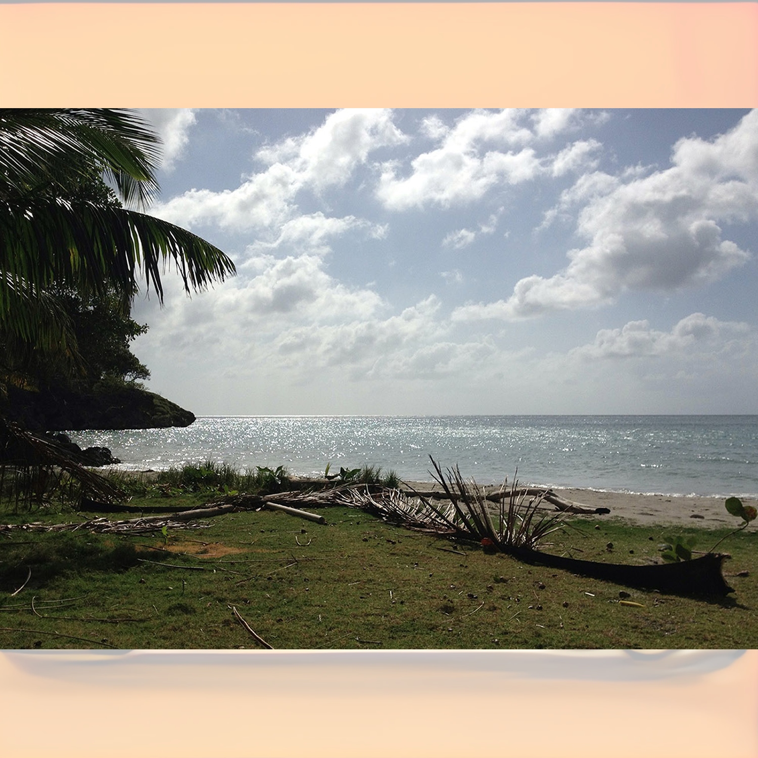 Foto: agenciadenoticias.unal.edu.co