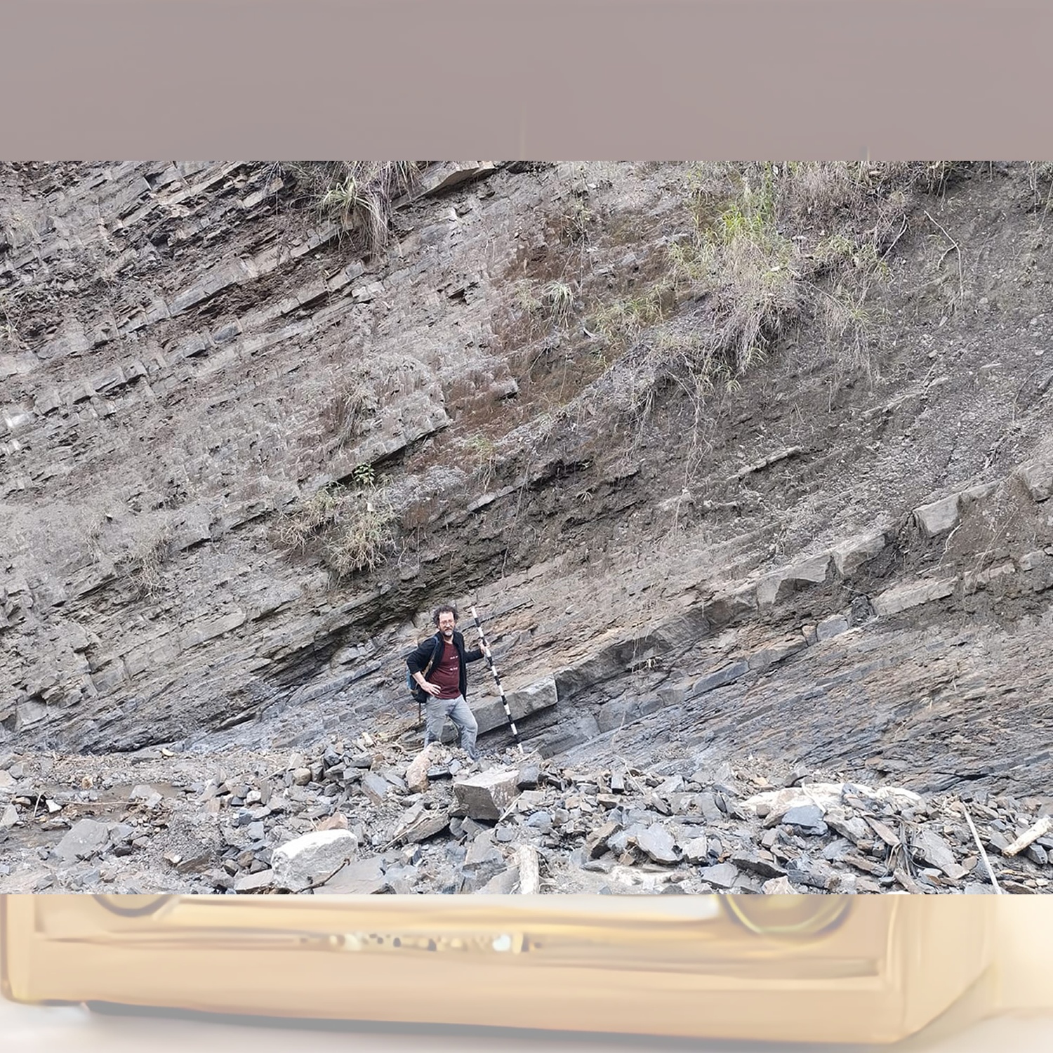 Foto: https://agenciadenoticias.unal.edu.co/