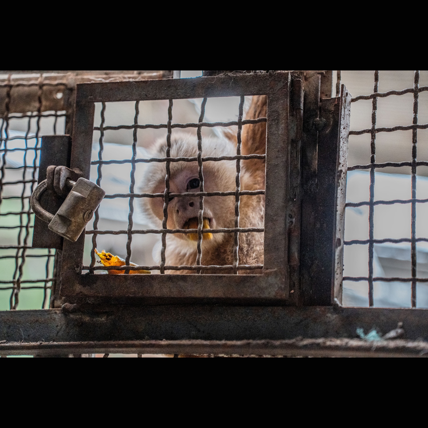 Foto: periodico.unal.edu.co