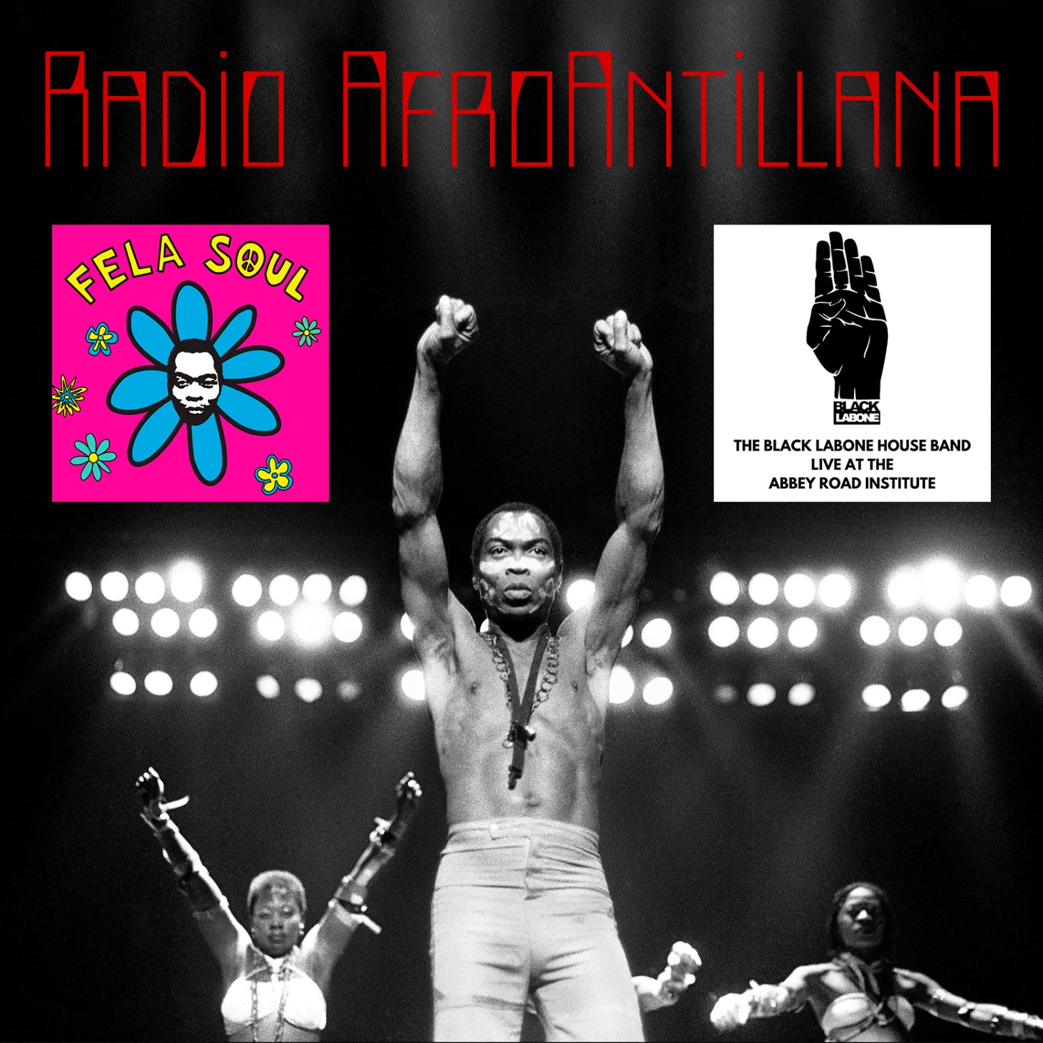 Fela Anikulapo Kuti. The Black President of Kalakuta Republic XCVIII. Legado (b)