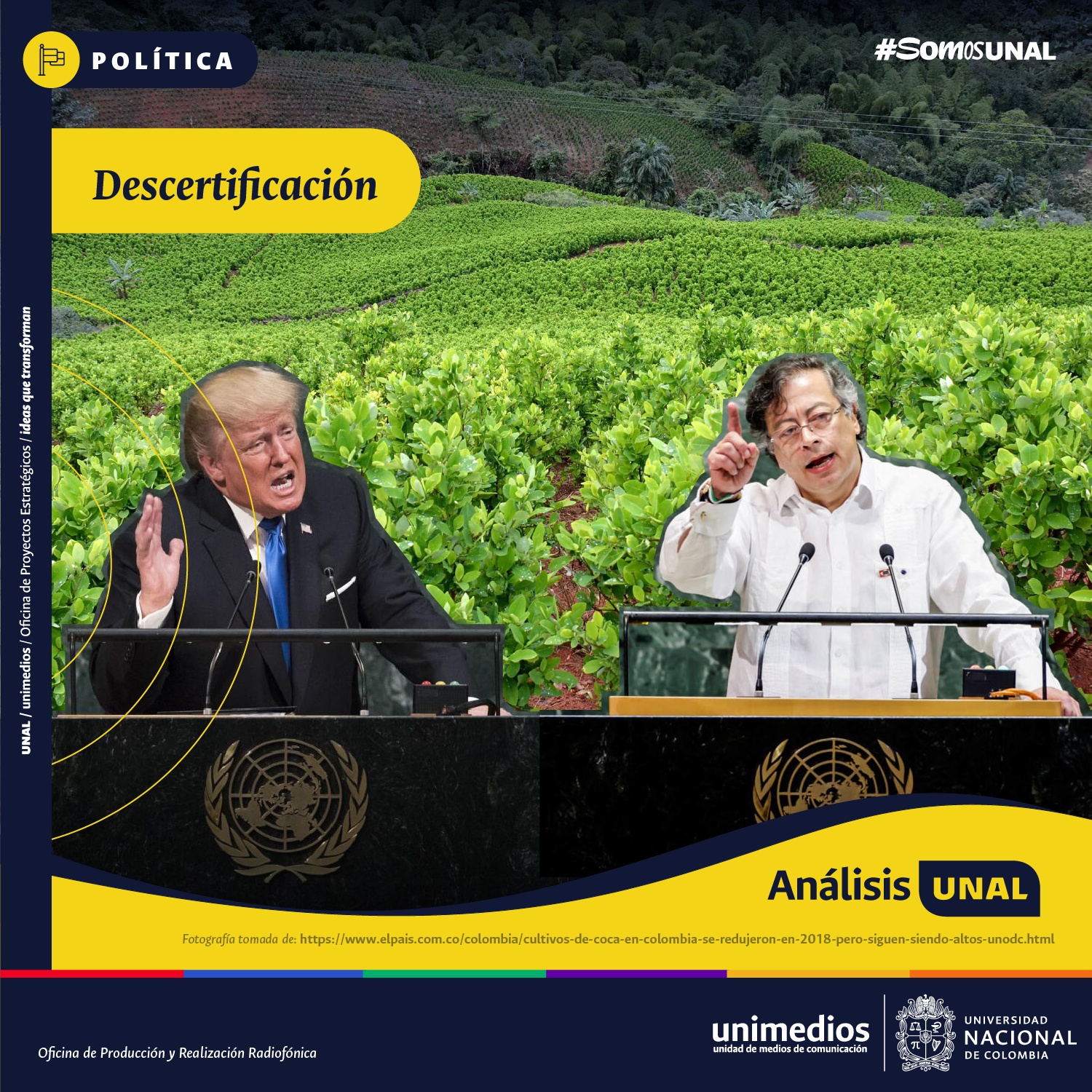 Análisis UNAL - Franja Temática: La descertificación