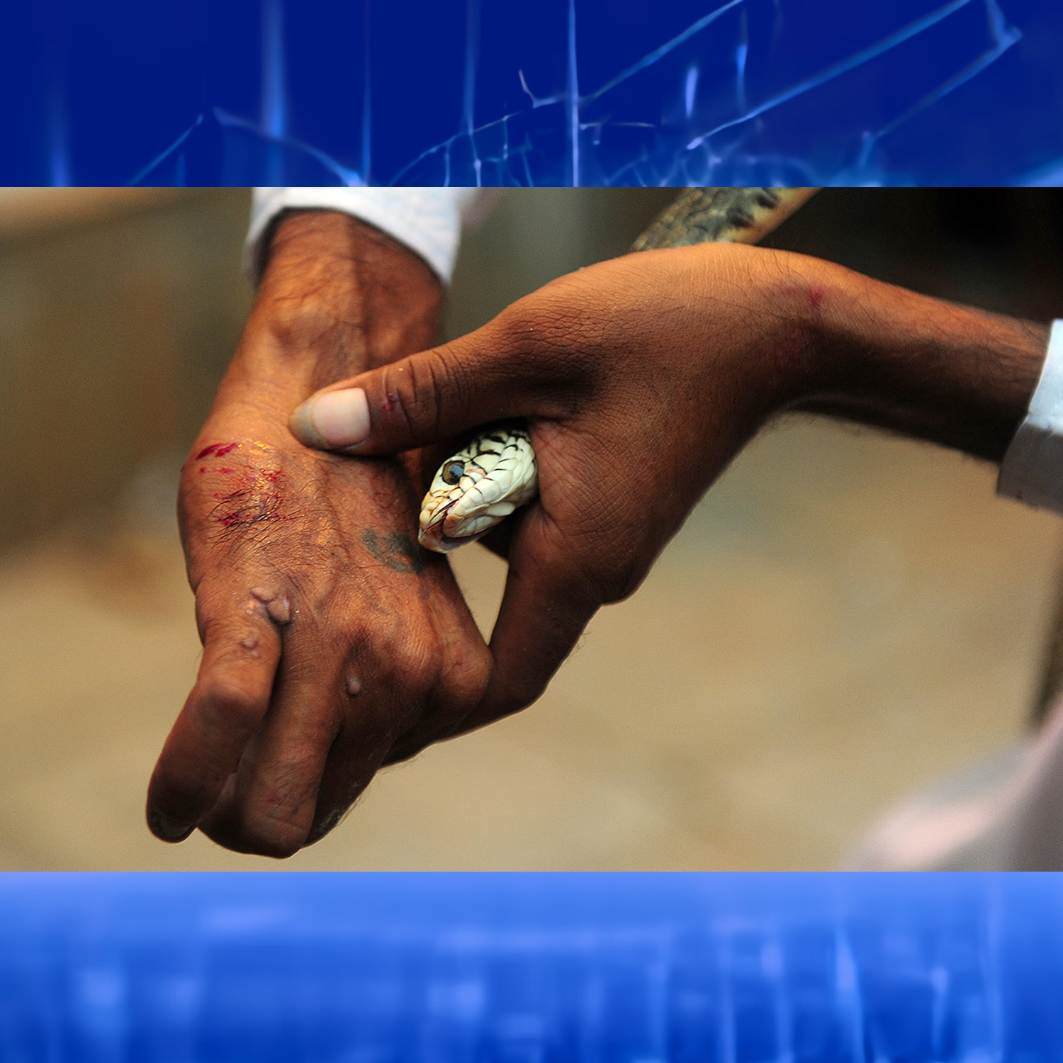 Foto: SANJAY KANOJIA / AFP.