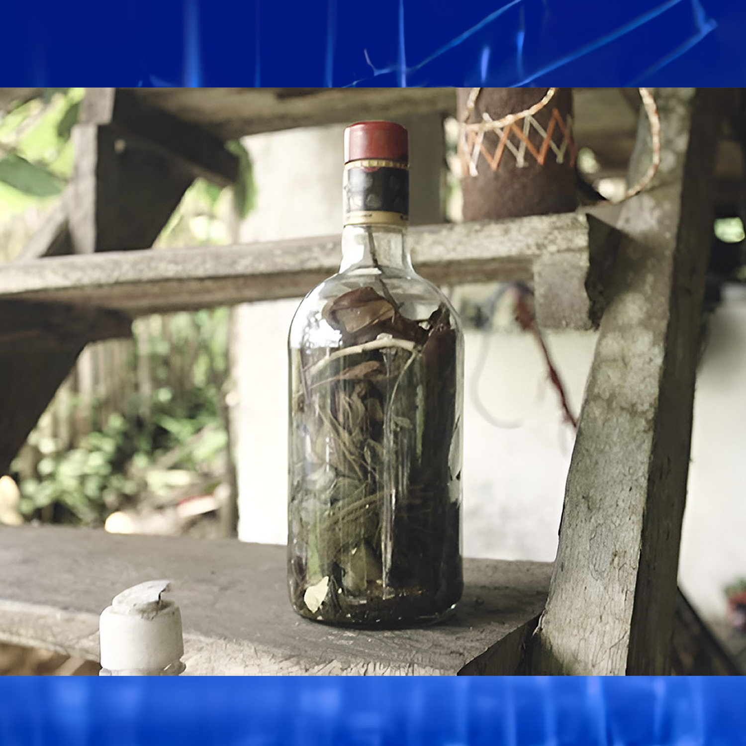 Foto: Proyecto Viche