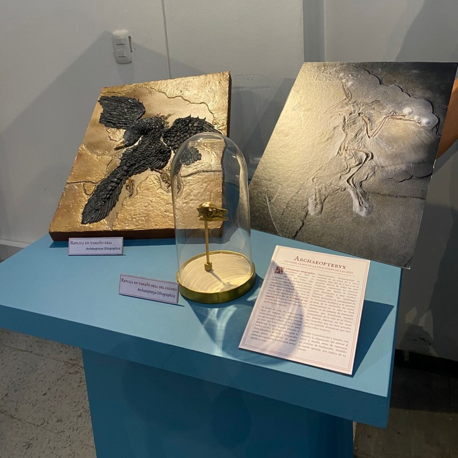 Foto: Juan Carlos Blanco - Radio UNAL