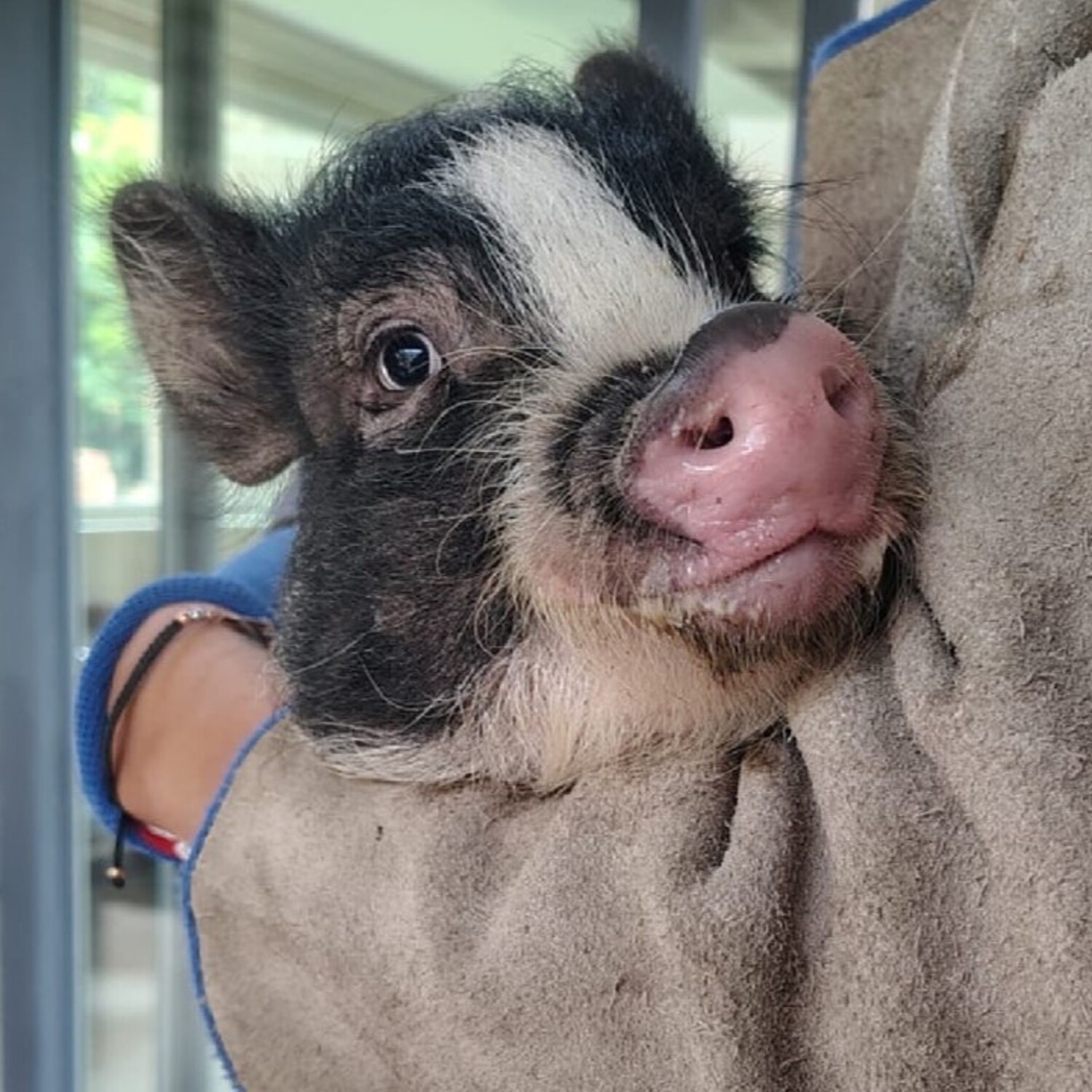 Foto: Colombiavisible.com