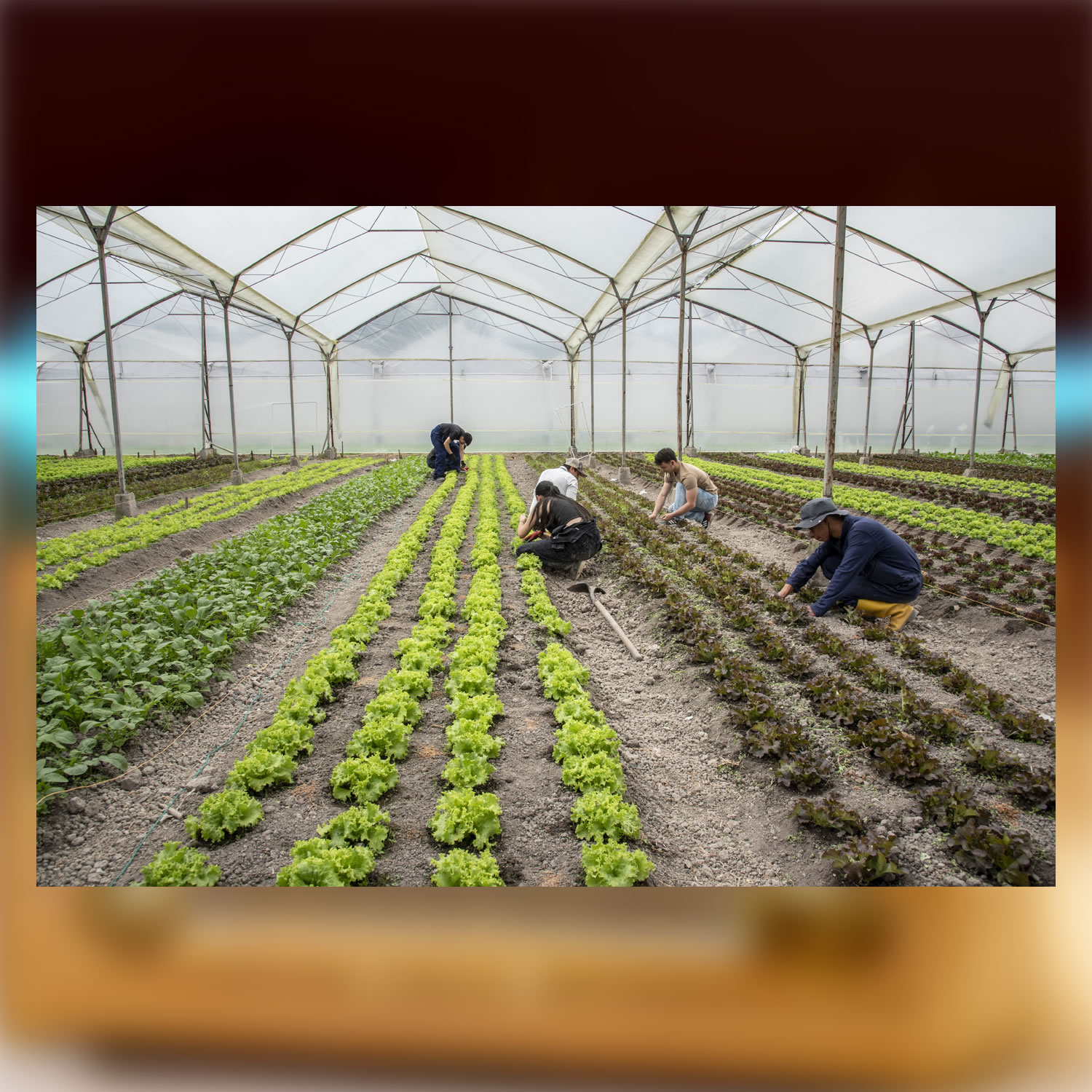 Foto: archivo Unimedios.