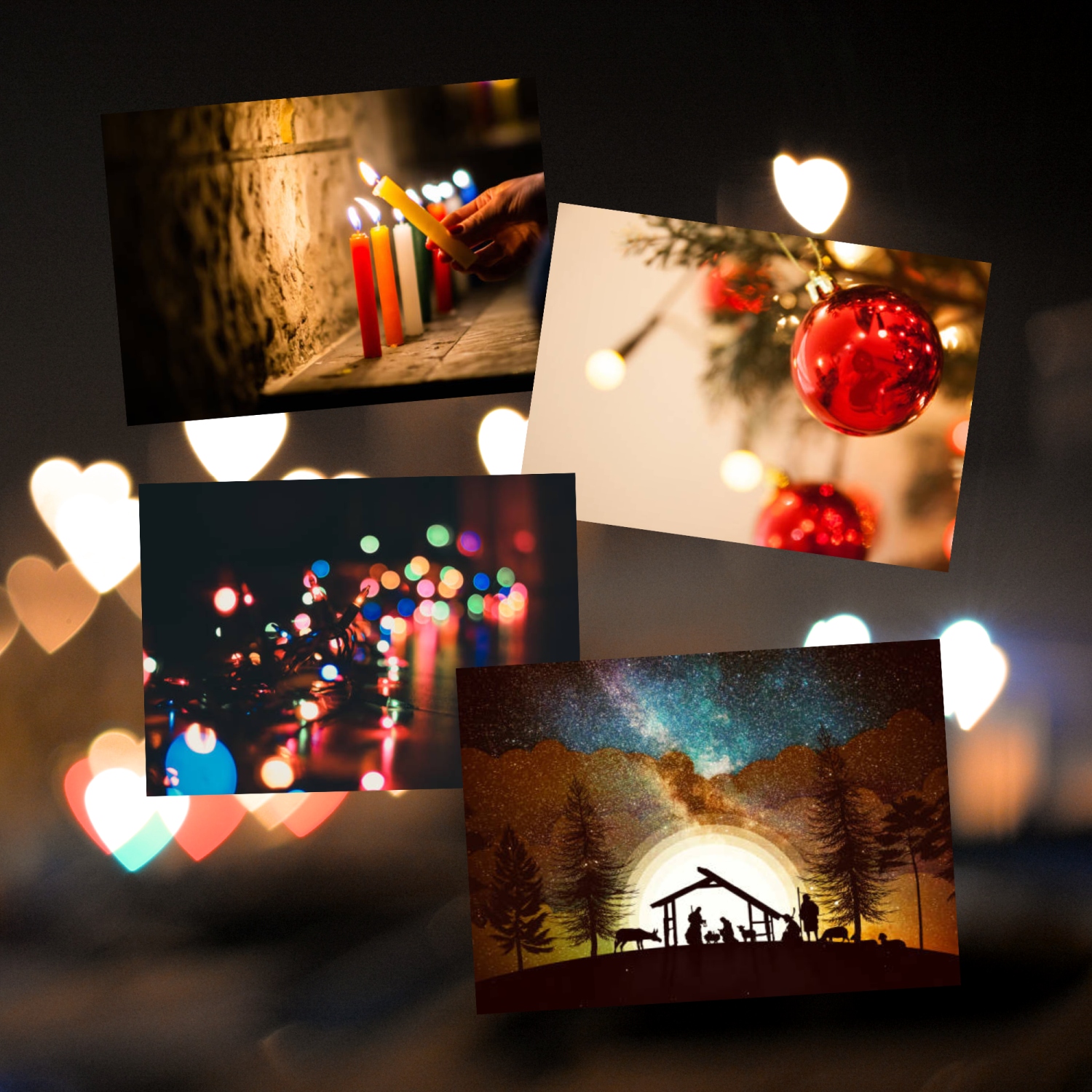 Crédito de la imagen: Sofía Elena Sánchez Messier