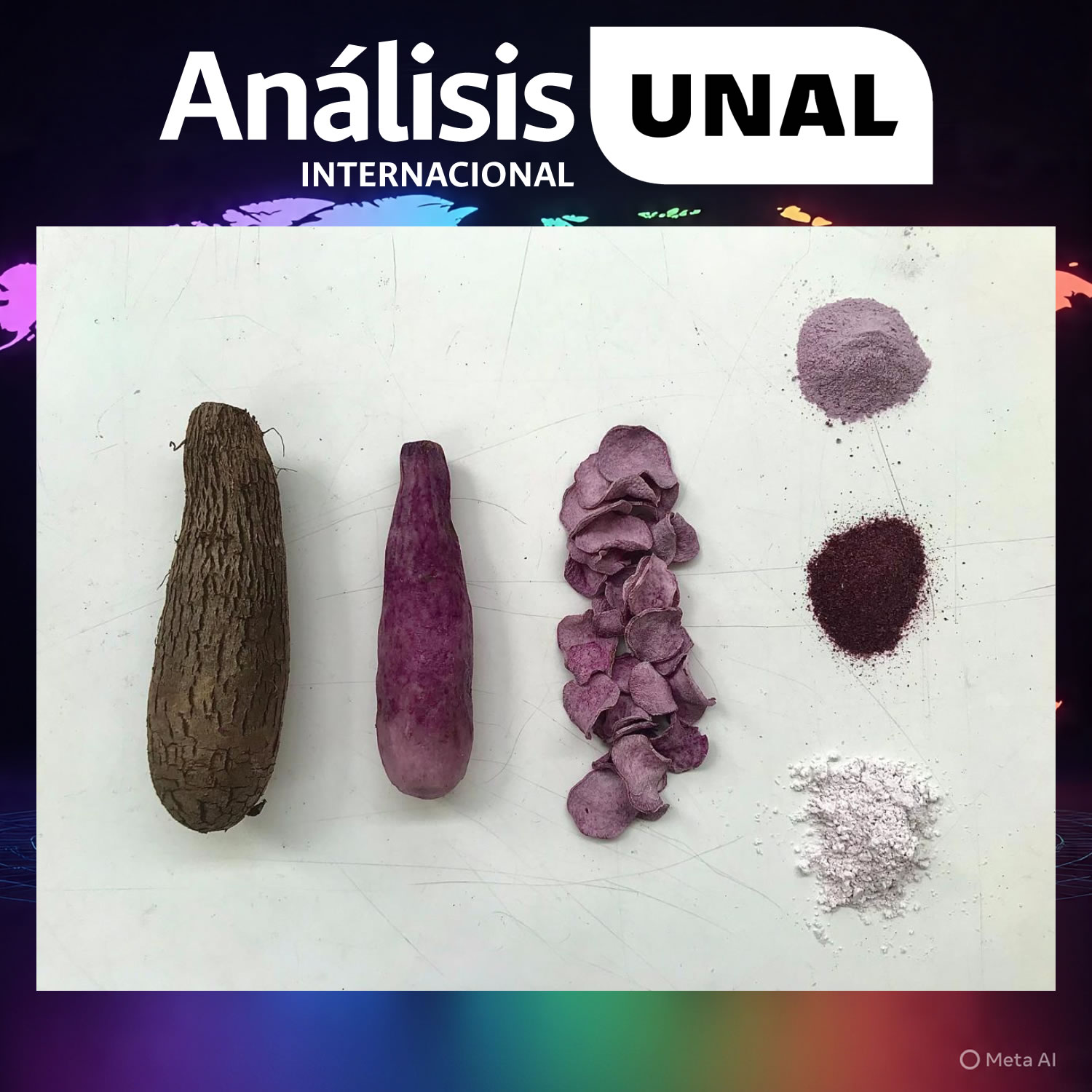 Foto: Sandra Viviana Medina López, Doctora en Ciencia y Tecnología de Alimentos, UNAL.