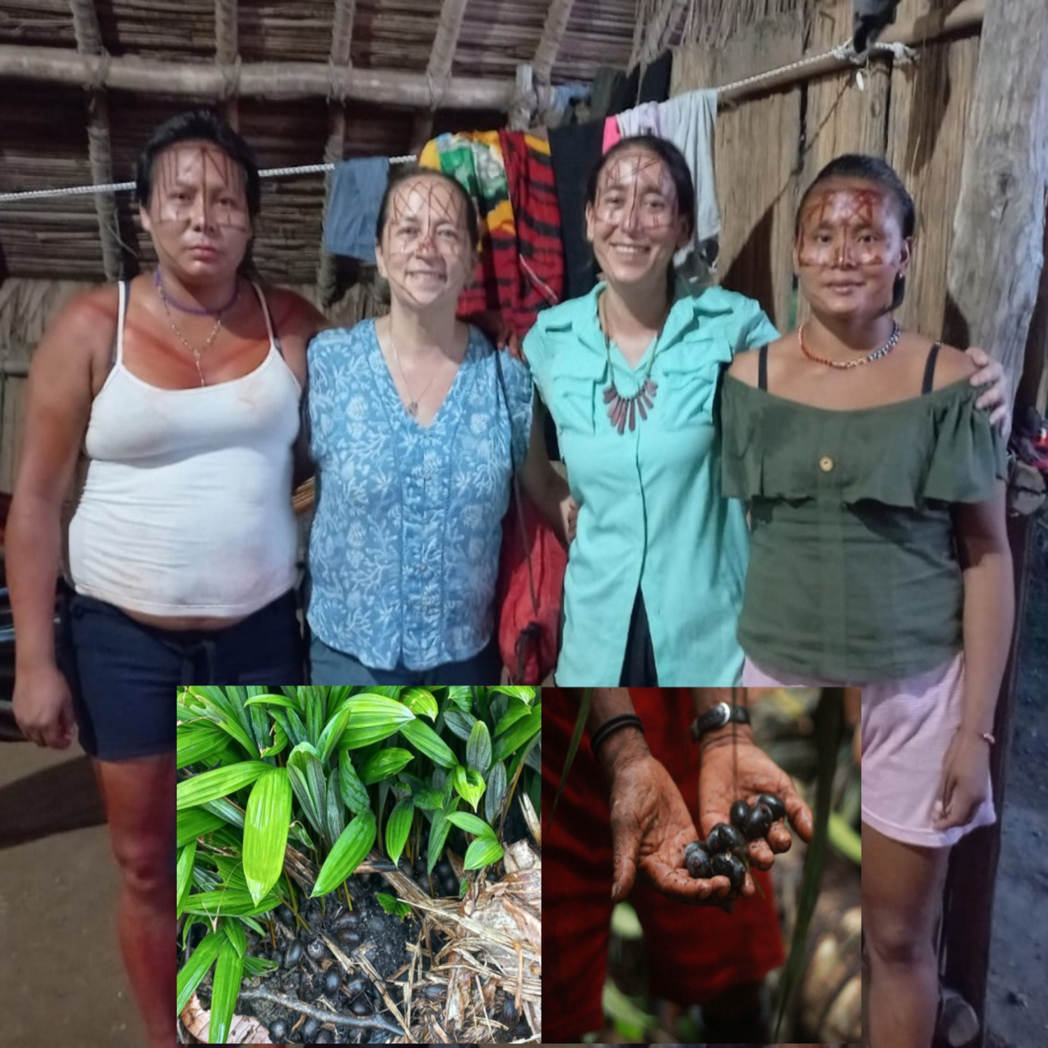 ¿Desaparecerán los Nukak y la palma mil pesos?