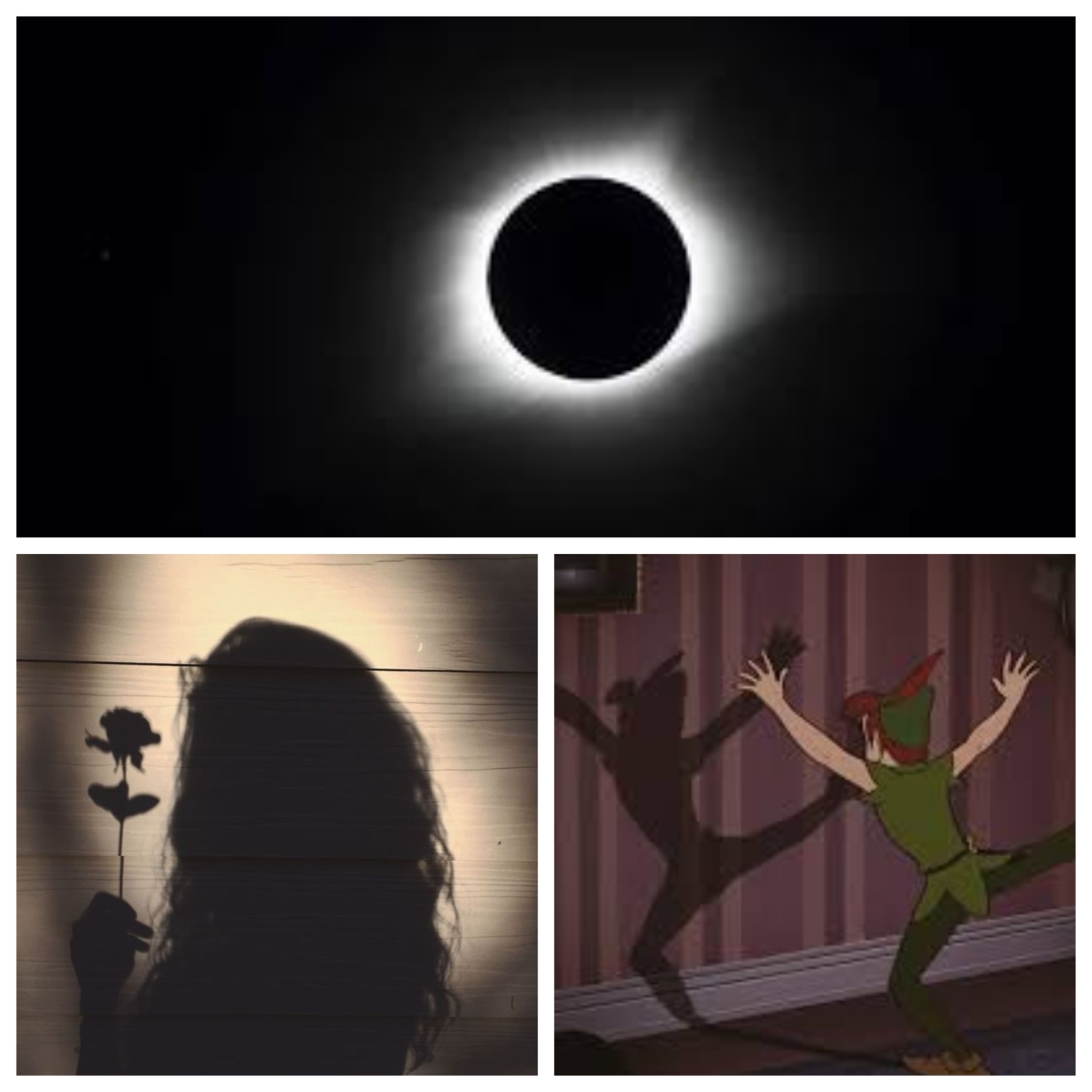 Crédito de la imagen: Sofía Elena Sánchez Messier