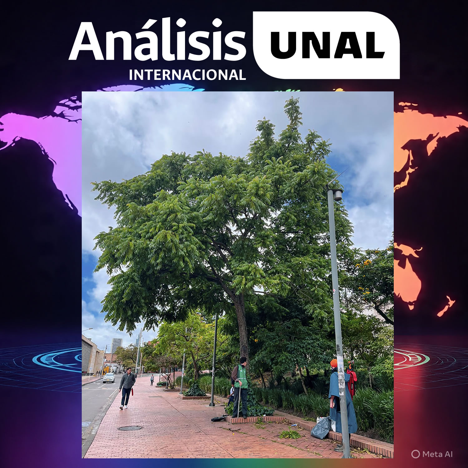 Foto: Laura Sofía Herrera Guáqueta, bióloga de la UNAL.