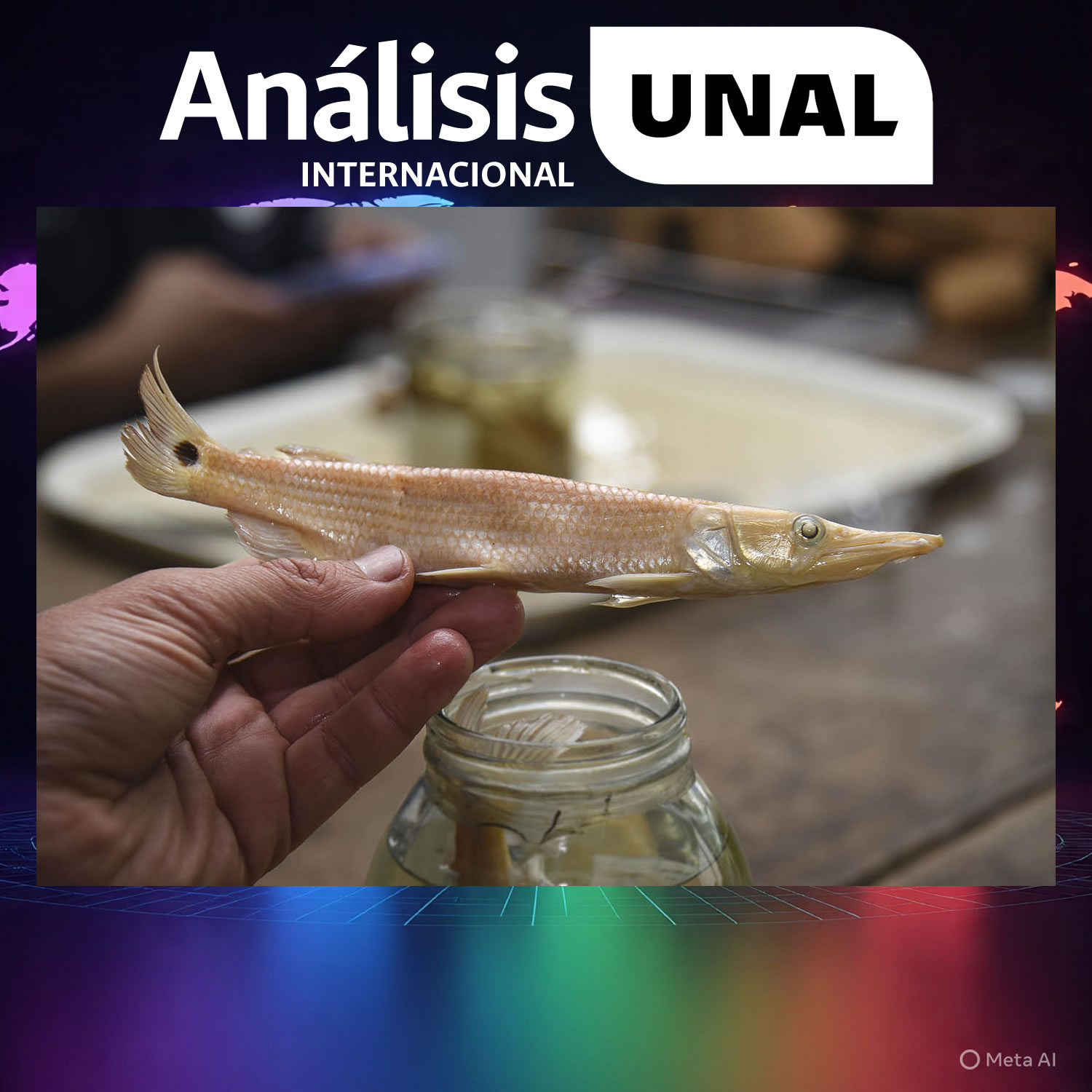 Foto: Valeria Peña, Unimedios.