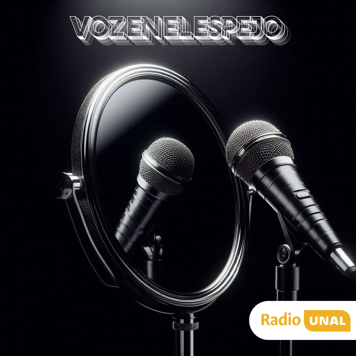 Voz en el espejo