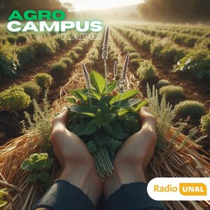 AgroCampus Radio