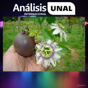 Foto: archivo Unimedios.