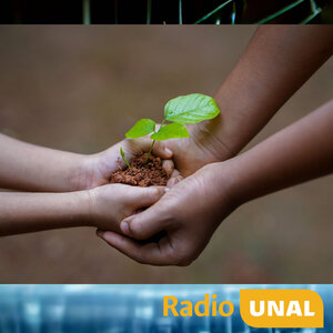 Imagen en: https://www.losjabonesdemontse.com/wp-content/uploads/hands-gfb3c11843_1920.jpg