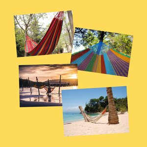 Crédito de la imagen: Sofía Elena Sánchez Messier