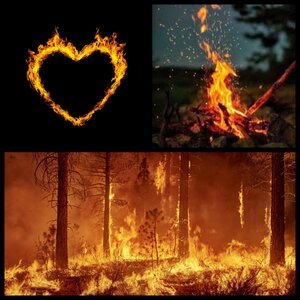 Crédito de la imagen: Sofía Elena Sánchez Messier