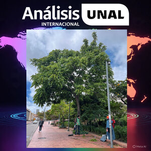 Foto: Laura Sofía Herrera Guáqueta, bióloga de la UNAL.